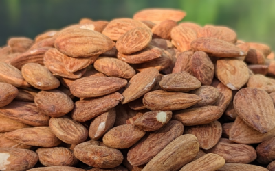 Phytic Acid and Nut Butter