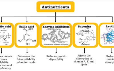Anti-Nutrients and their Impact